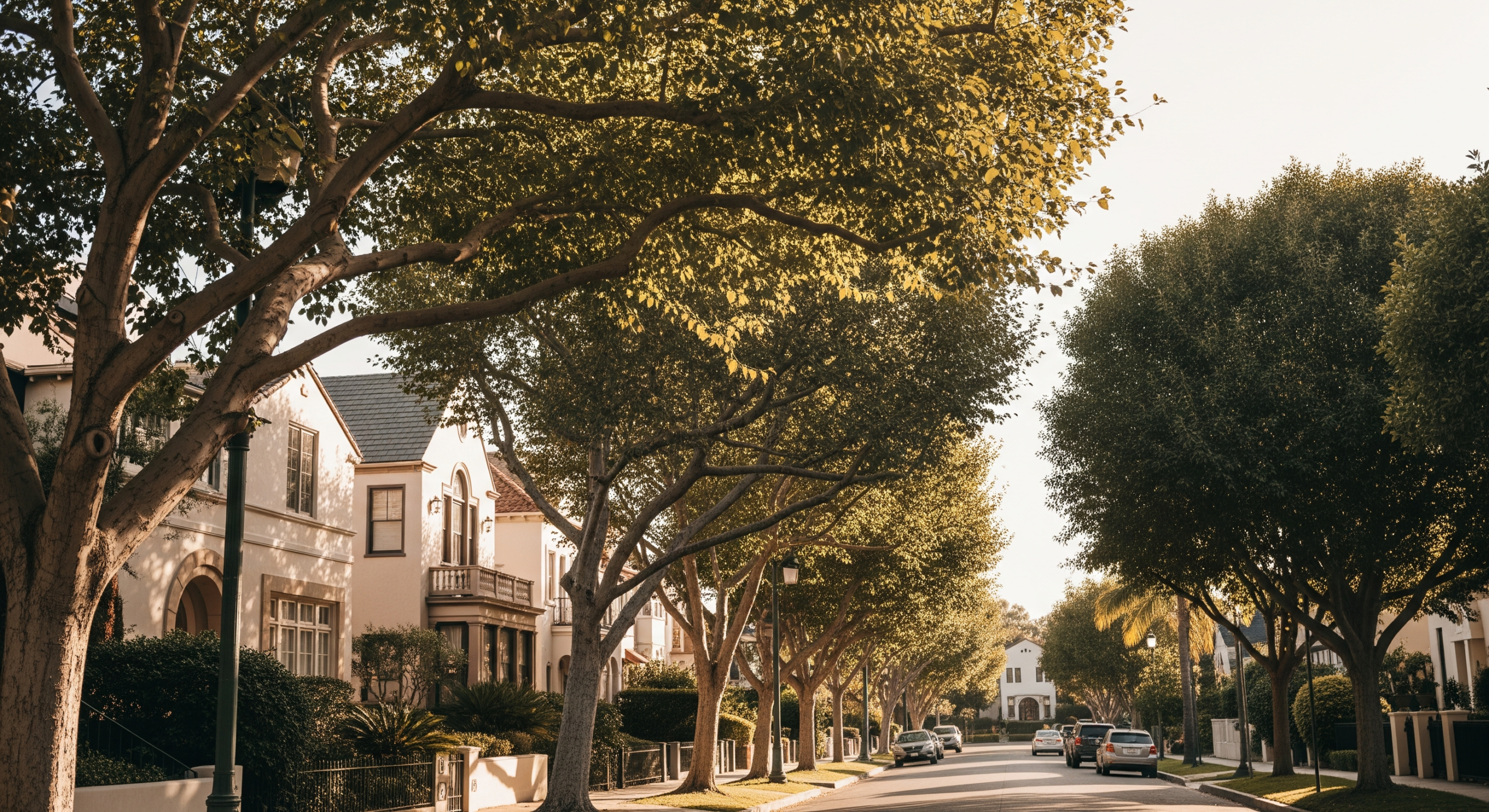 Tree-lined residential street with classic homes in Southern California.